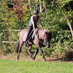 Bilder von Henrieke Stahl